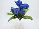 Tulpebusch X 8 m. Off. Bluete BLAU 