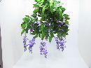Wisteria 6St.-Rispe L 75cm flieder 6St. im Bund