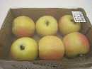 Apfel GELB 6cm