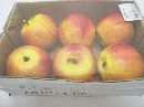 Apfel ROT 6cm