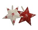 Blechstern m.Klammer 2Mod.S/12 ROT-WEISS 4cm/S/12