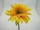 Gerbera ORANGE 60cm