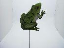 Frosch a.St. 3Mod. GRUEN 20cm/62cm