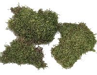 Plattenmoos MOOSGRÜN (natur) 2kg Sparp.