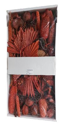 Exoten Sortiment ORANGE-mango 54 Collection ca. 125 Teile