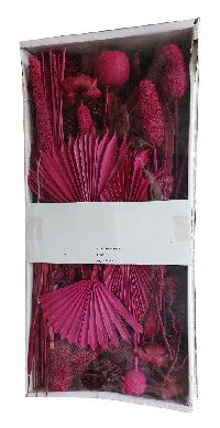 Exoten Sortiment azalee 67 Collection ca. 125 Teile