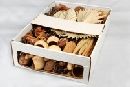 Exoten Sortiment NATUR 00 Collection ca. 175 Teile