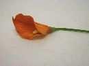 Calla ORANGE 08 6cm