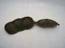 Pangra Schote NATUR 30/40cm