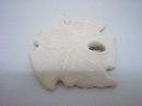 Sanddollar WEISS ca.9,5cm