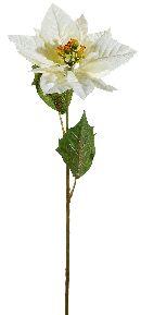 Poinsettia (Weihnachtsstern) WEISS 14243 15 cm L=60cm