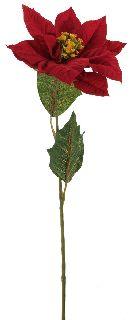 Poinsettia (Weihnachtsstern) ROT 14243 15 cm L=60cm
