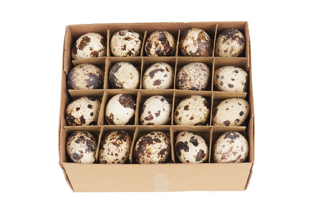 Wachtelei NATUR x60 ca.3cm