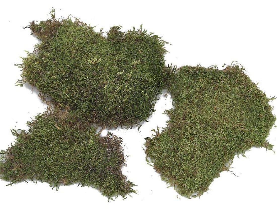 Plattenmoos GRÜN (natur) 2kg Sparp.