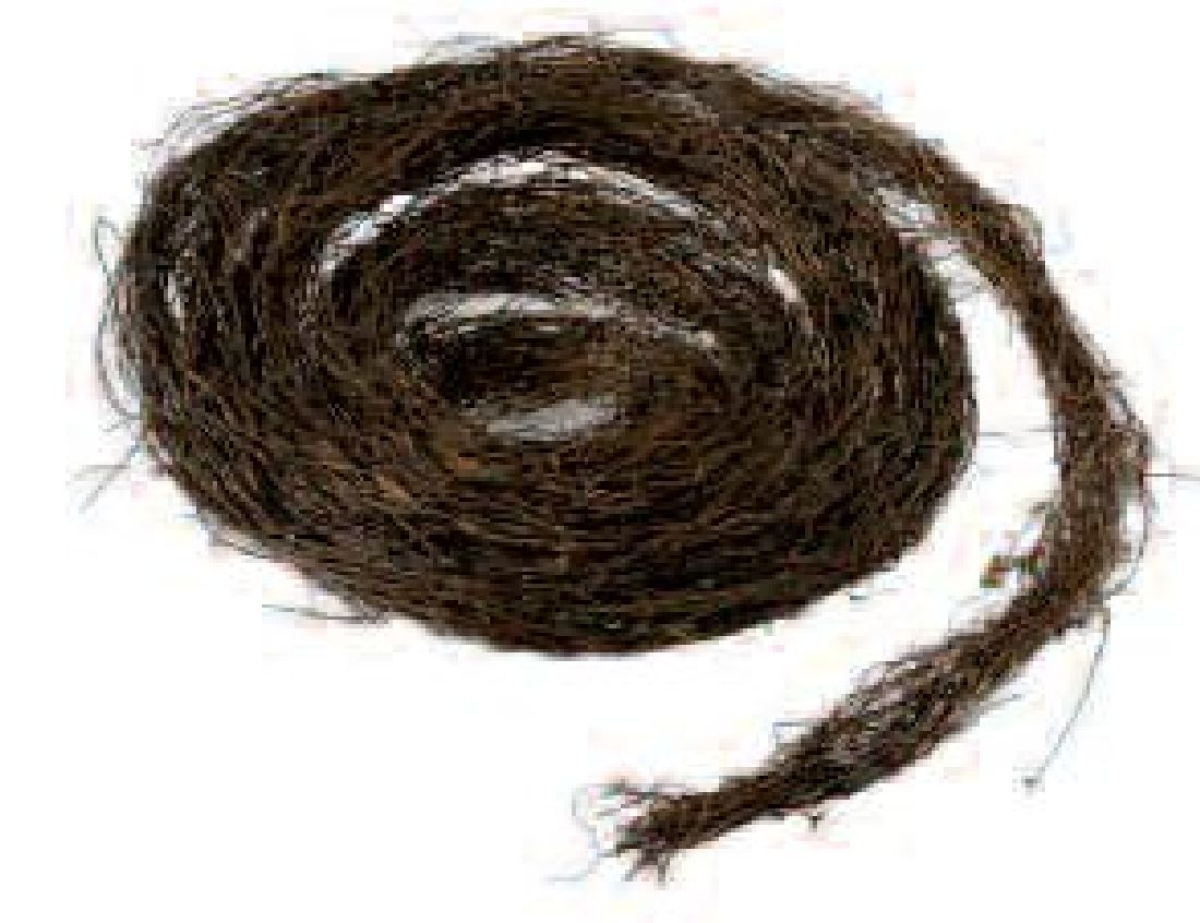 Weinrebengirlande natur NATUR 450cm