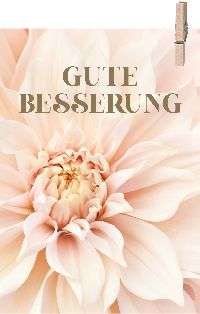 Minikarten GUTE BESSERUNG 11208 Pampas inkl.Holzklammer52x74mm