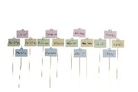 Wünsche-Stecker Holz 643566 ALLES GUTE GLÜCKW Schild 10x8cm FÜR DICH  DANKE