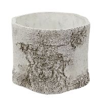 Topf Birke Baumstamm Birke 28 570 Zylinder Ø14x11cm Zement