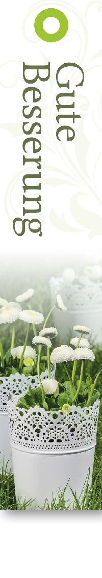 Geschenkkärtchen Gute Besserung 10331 Favourite - Klappkarte 3x17cm